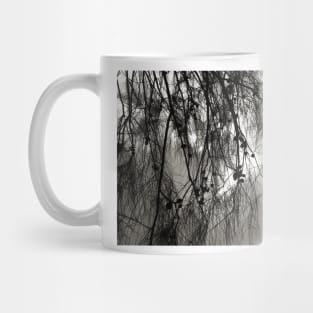 Casurarina Sky Mug